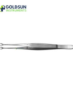 Evan Modified McIndoe Diss Forceps 16.5 cm