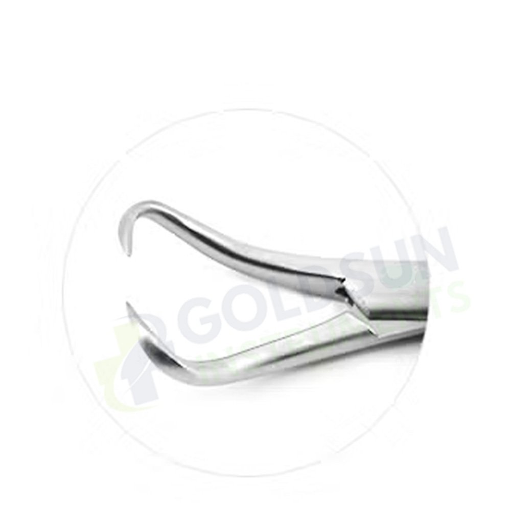 Backhaus Towel Forceps – Stainless Steel Surgical Clamp, available in 8cm, 10cm, and 13cm sizes